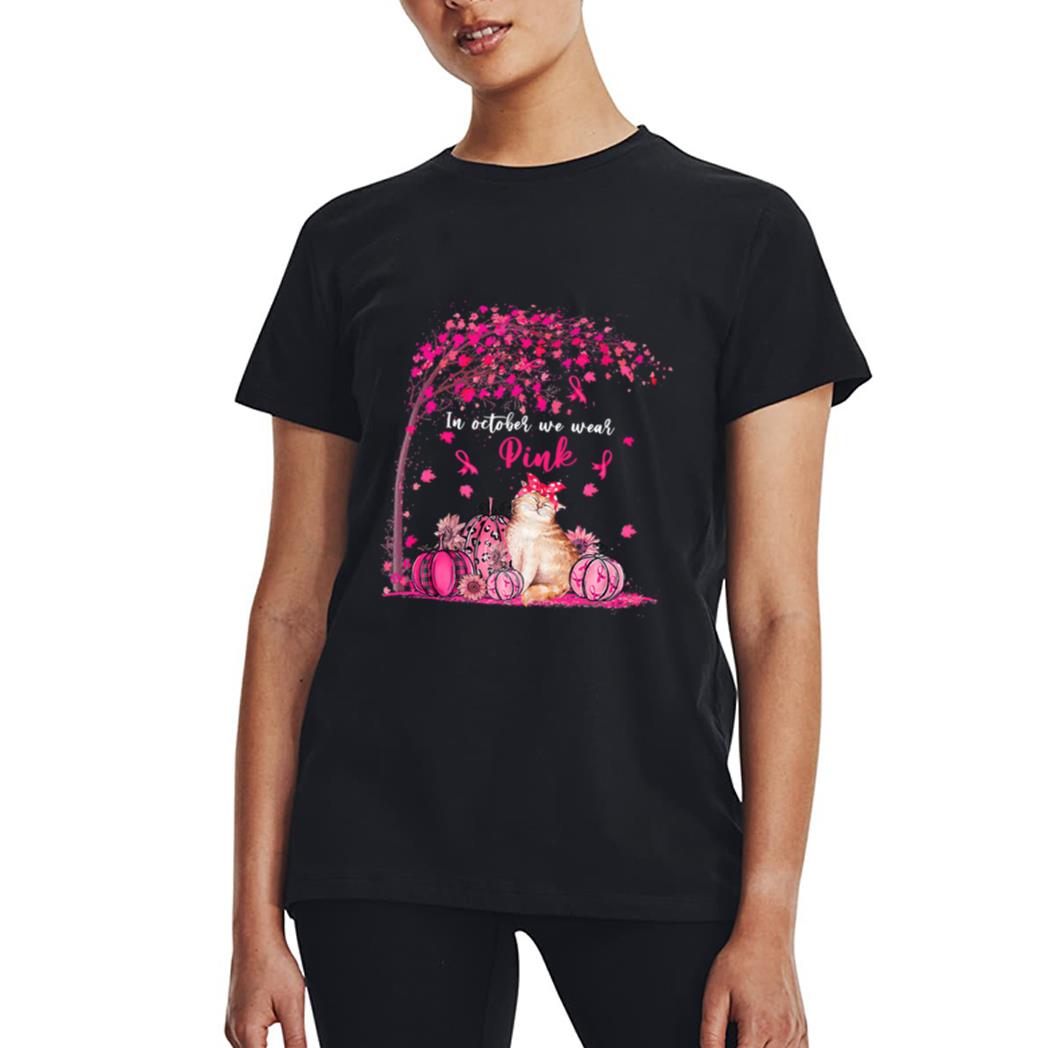 Breast Cancer Awareness In October We Wear Pink Pumpkin Cat Premium Women T-Shirt
