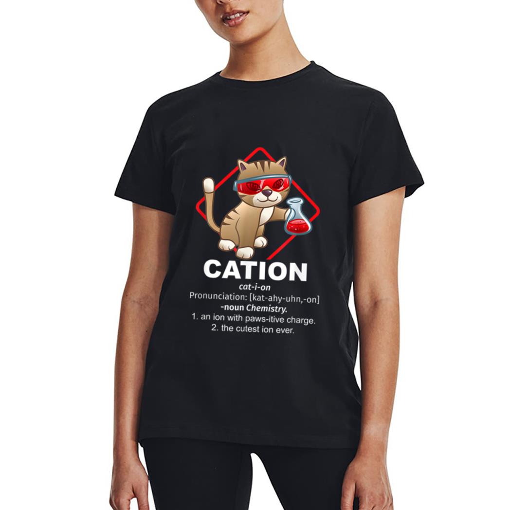 Chemistry Professor Kitty Science Day Cat Owner Chemist Women T-Shirt